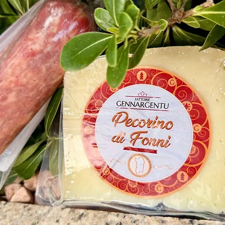 Luxurious Big Town House - Large Terrace - Historical Centre - High Quality - Fully Equipped - Renovated 公寓 奧爾比亞