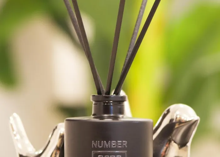 Luxurious Big Town House - Large Terrace - Historical Centre - High Quality - Fully Equipped - Renovated Apartment Olbia