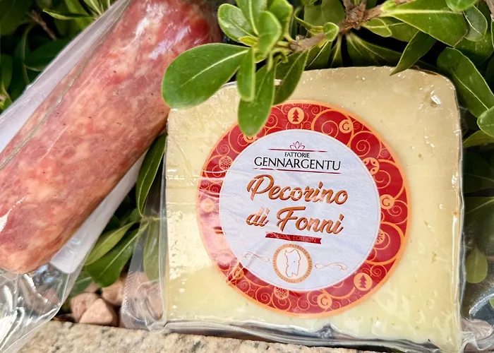 Luxurious Big Town House - Large Terrace - Historical Centre - High Quality - Fully Equipped - Renovated Apartment Olbia